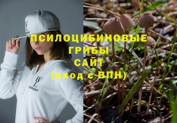соль курить ск Алзамай