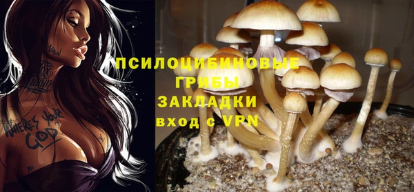 спиды Алексеевка