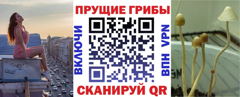 Псилоцибиновые грибы ЛСД  Хвалынск 